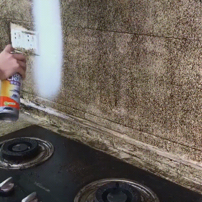 Complete your cleaning purchase!: Get the ALL CLEANING FOAM SPRAY for Hard Surfaces!